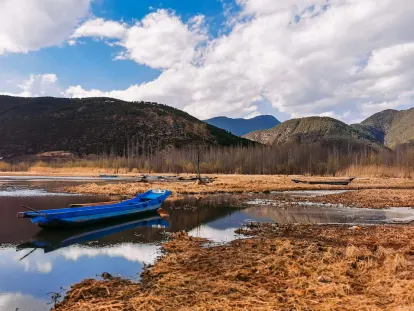 BigWins Casino Mobilapp